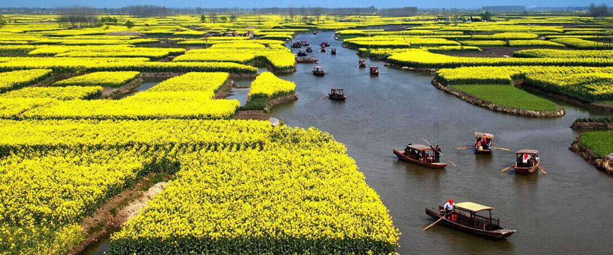 One of the most beautiful #rape flowers fields in the World —— #Xinghua Qiandao Rape Flowers Scenic Area in #Jiangsu Province of China.
https://twitter.com/Beautifulgx
