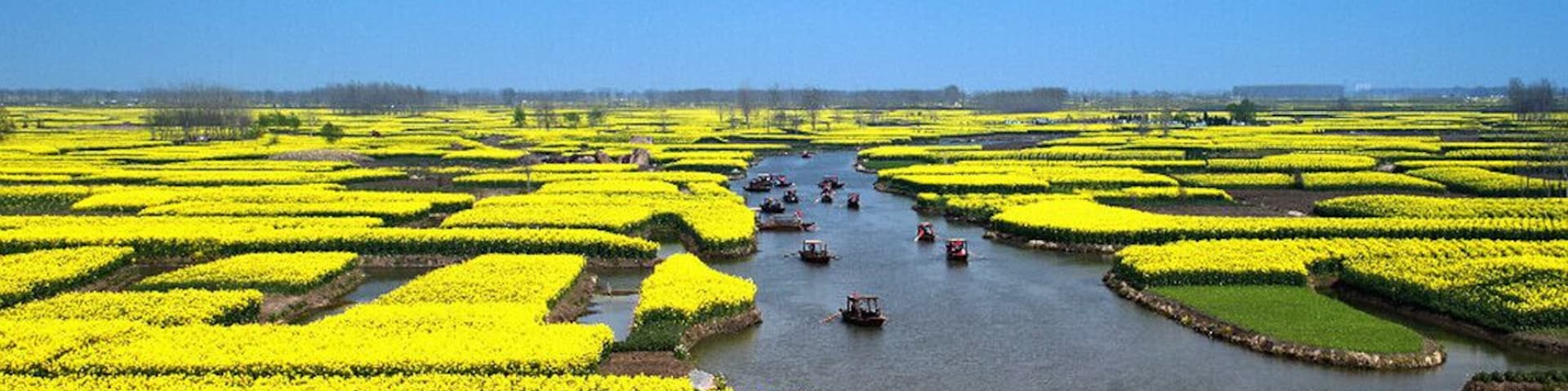 One of the most beautiful #rape flowers fields in the World —— #Xinghua Qiandao Rape Flowers Scenic Area in #Jiangsu Province of China.
https://twitter.com/Beautifulgx