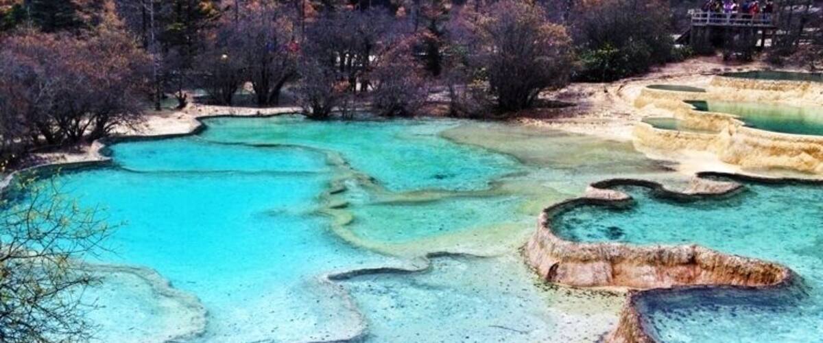 Terraced mineral pools surrounded by trees.