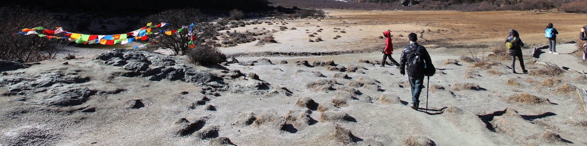 0_313bceb7-9bfe-45bb-8934-5a075ffdcecd_raw