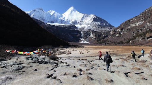 0_313bceb7-9bfe-45bb-8934-5a075ffdcecd_raw