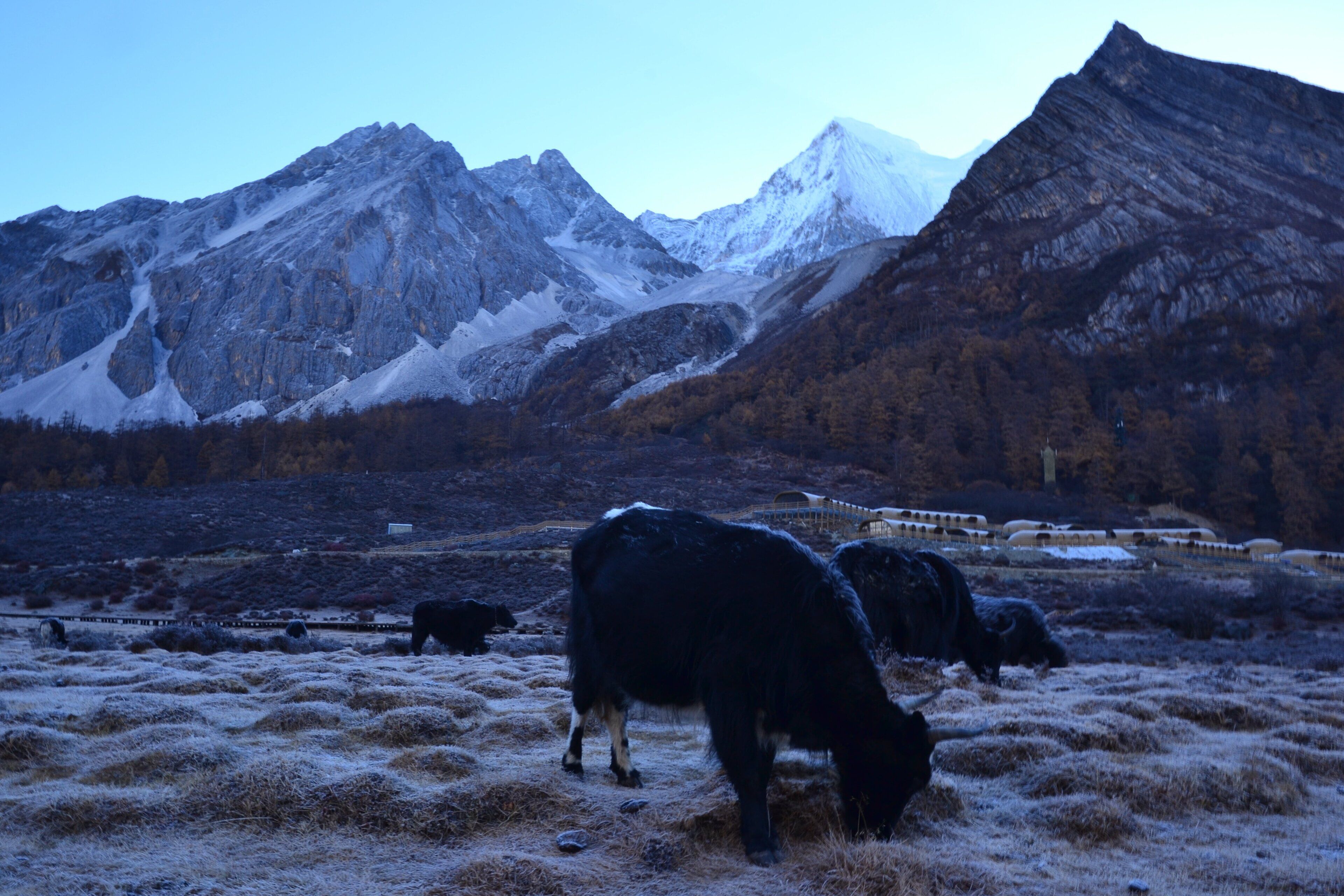 0_7669eca2-8616-4939-adf5-563f15227036_raw