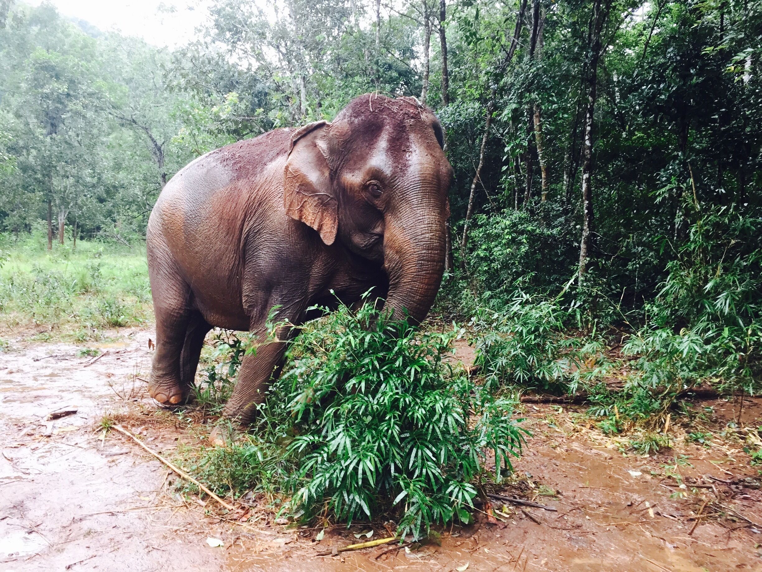 Two day adventure in the jungle. 