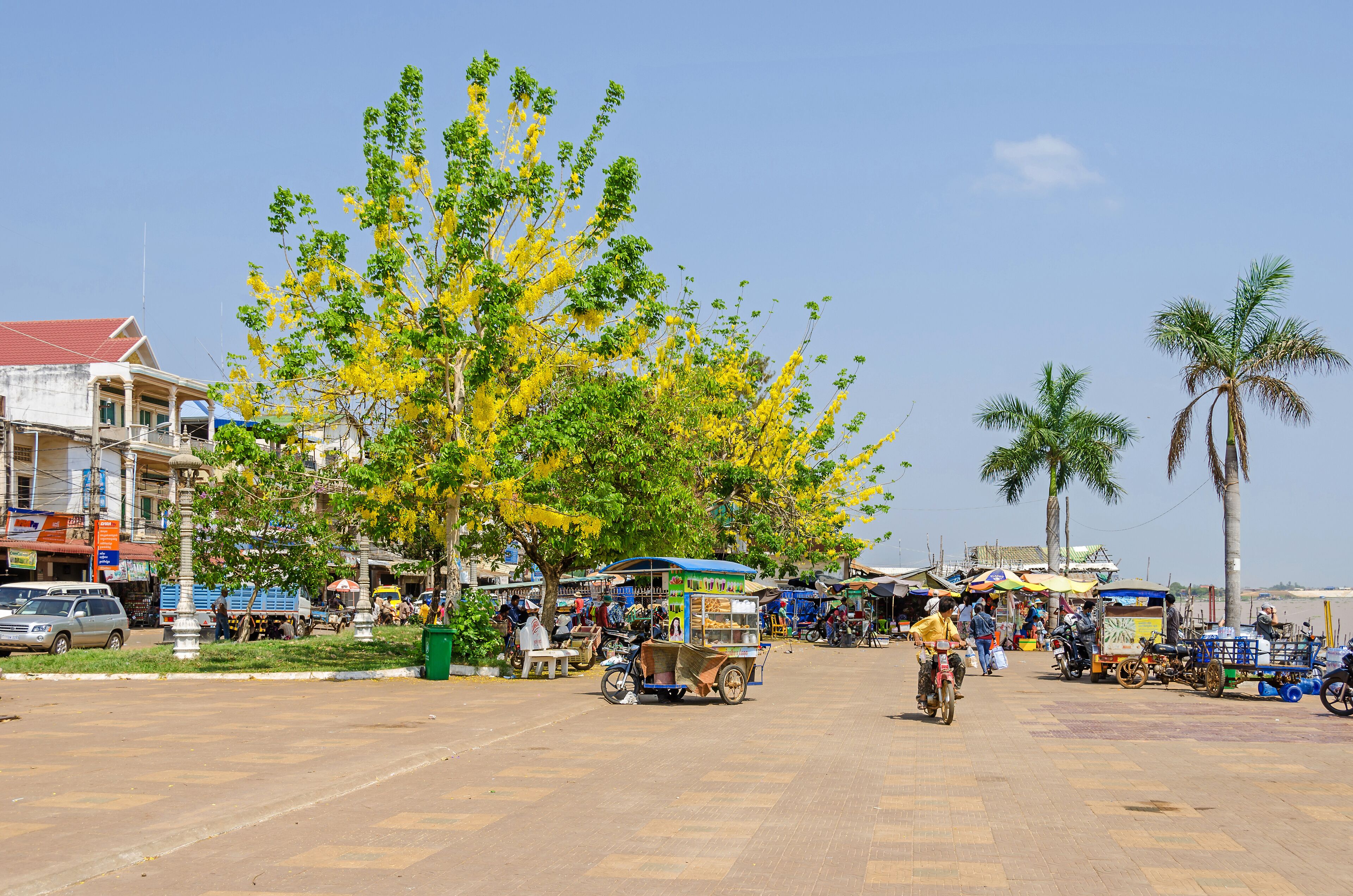 A bustling street market with vendors, motorcycles, and a prominent yellow flowering tree.