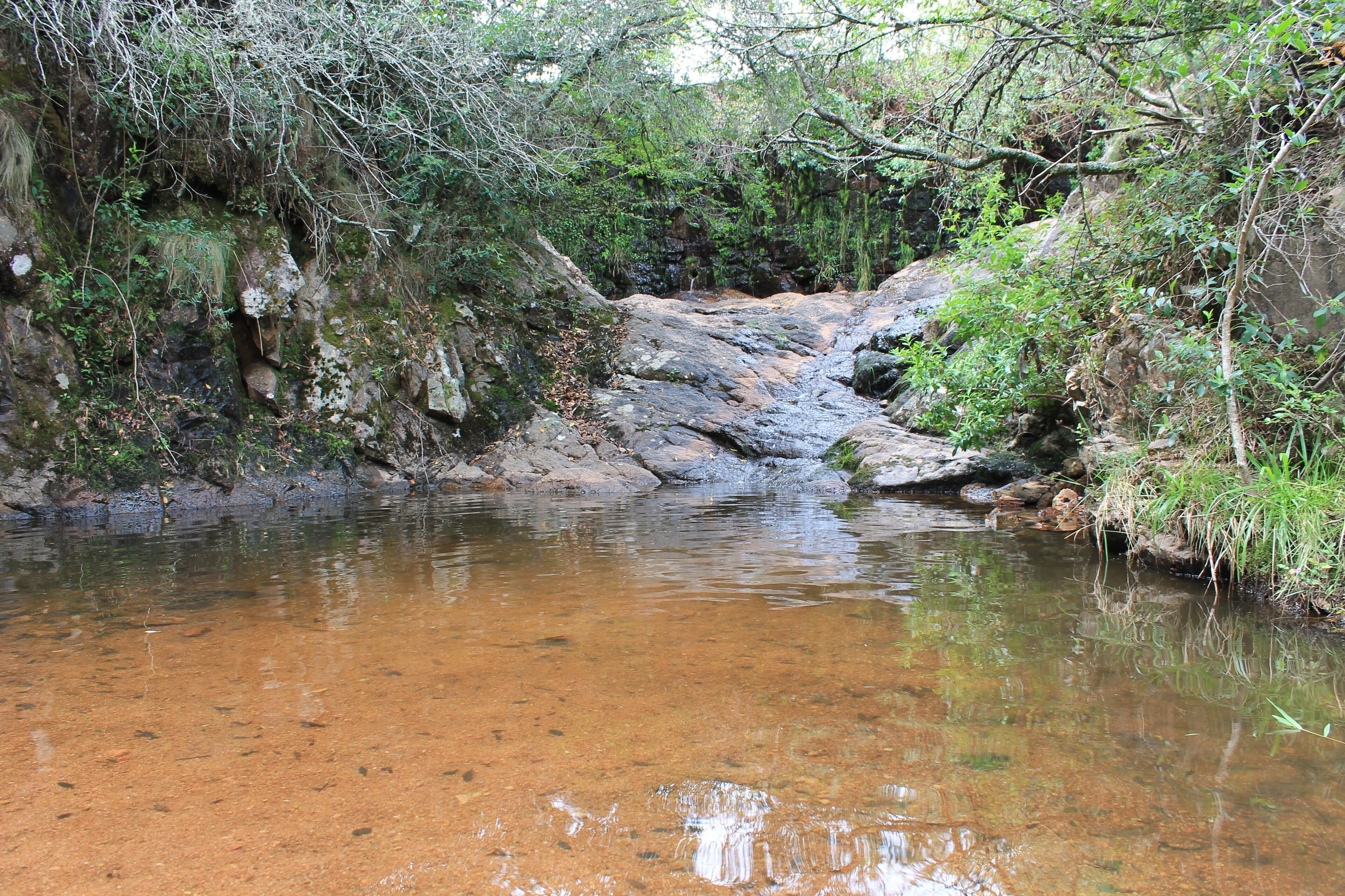 Bosque uruguayo en las sierras, naturalez y tranquilidad, bosque natural con arboles  y rio en un soleado dia. La paz de la naturaleza uruguaya en las sierras. Villa serrana uruguay