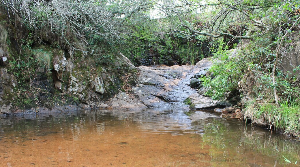 Bosque uruguayo en las sierras, naturalez y tranquilidad, bosque natural con arboles y rio en un soleado dia. La paz de la naturaleza uruguaya en las sierras. Villa serrana uruguay