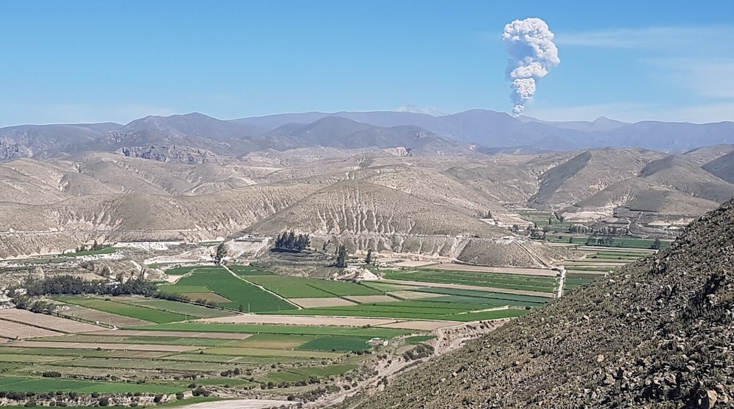 An ocassional eruption over the landscape.