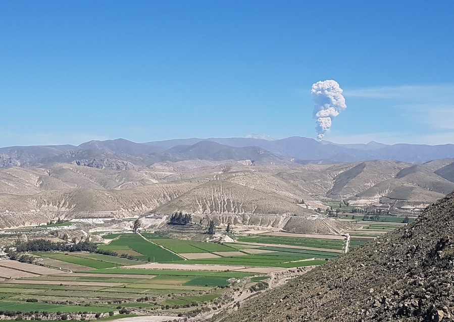 An ocassional eruption over the landscape.