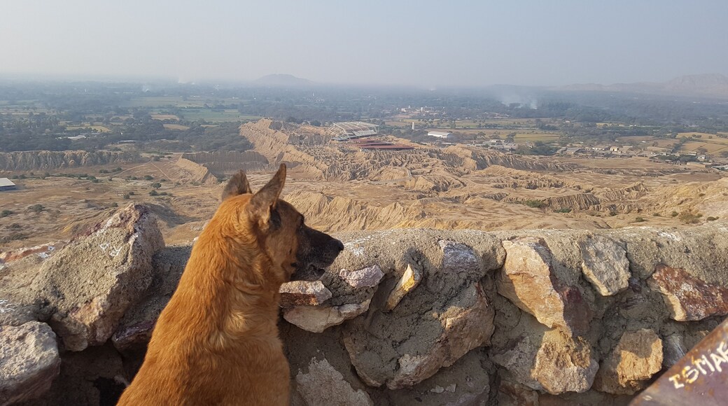 Guardian of the Tucume Pyramids, Peru