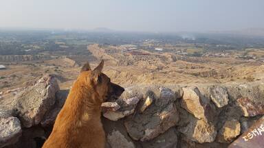 Guardian of the Tucume Pyramids, Peru