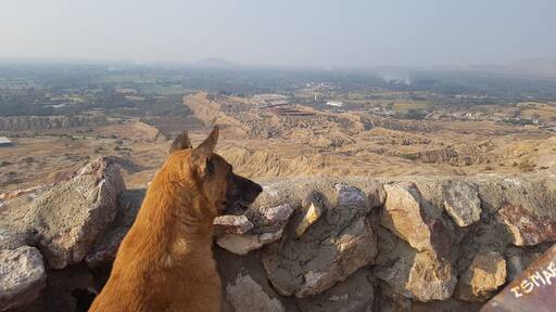 Guardian of the Tucume Pyramids, Peru