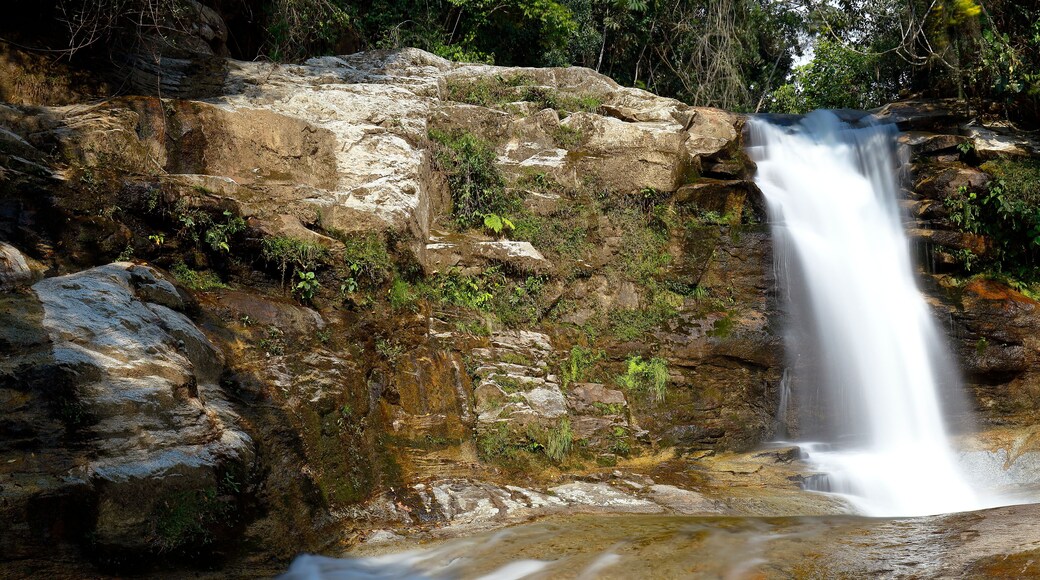 San Martín de Pangoa