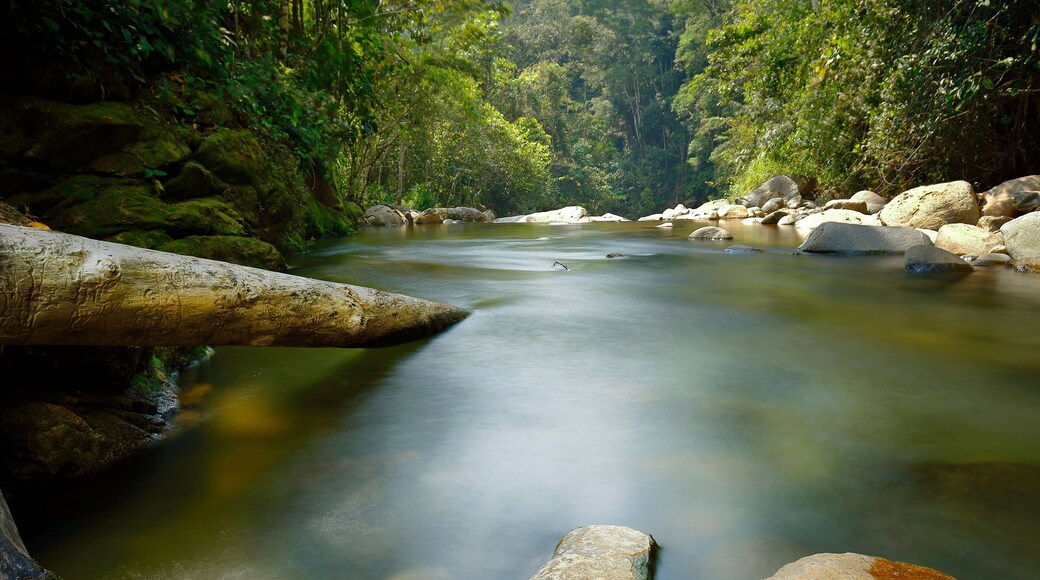 San Martín de Pangoa