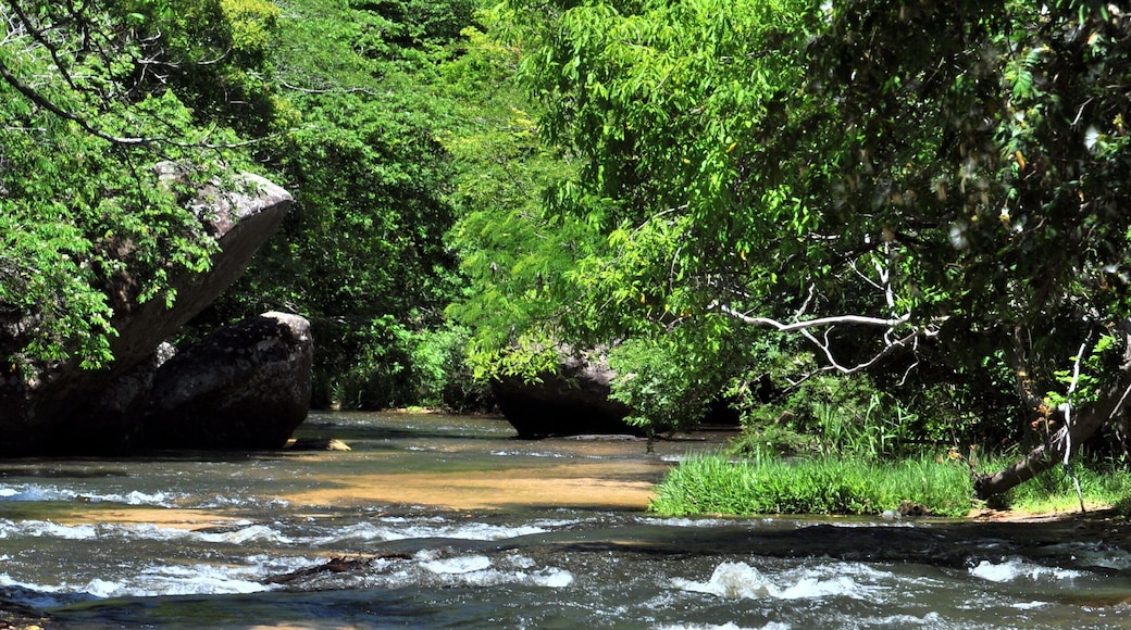 Bach in Cabana Itakua