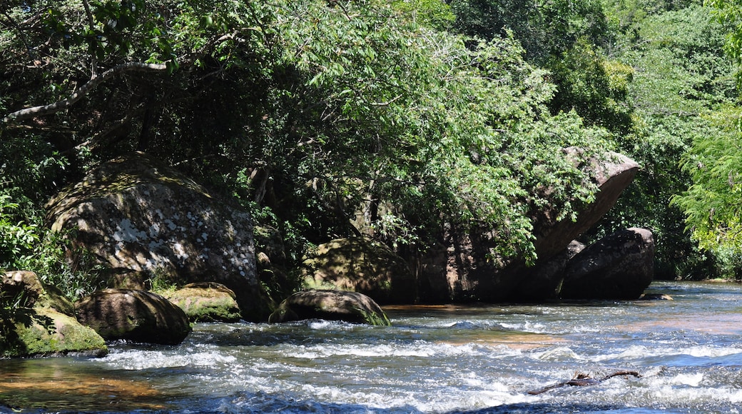 Bach in Cabana Itakua
