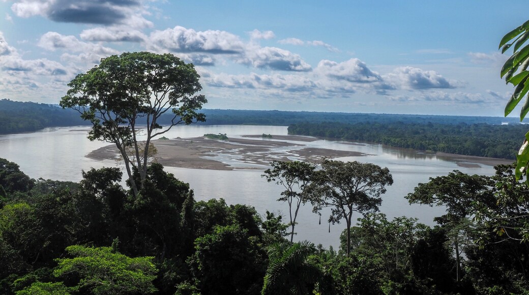 Yasuni National Park