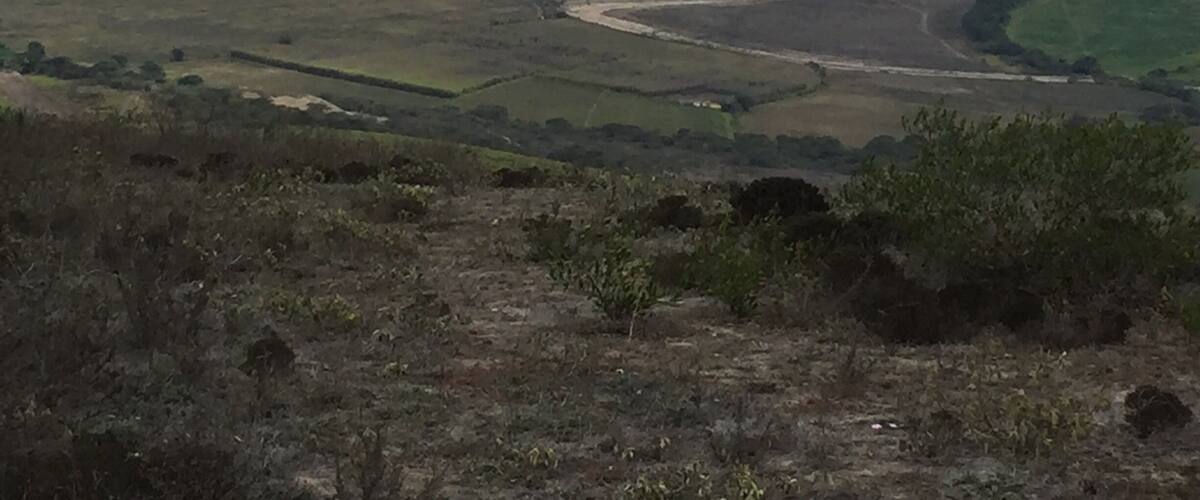 A mountainous landscape with a winding road and a small building labeled 'YACHAY' on a hill.