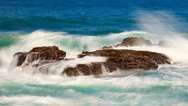 Chocolater Salinas Ecuador Pacific Ocean Cliff wave