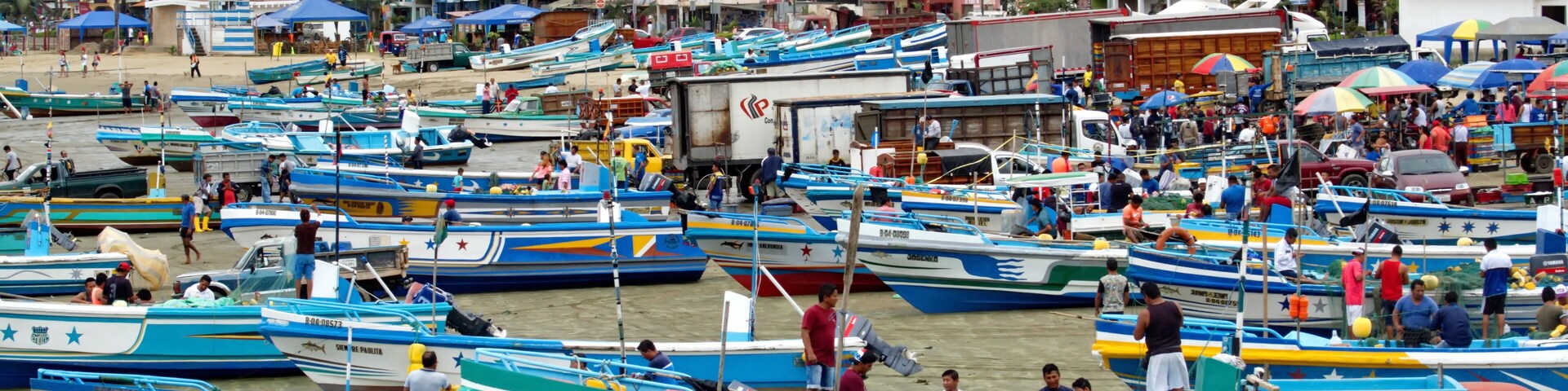Un puerto concurrido con numerosos barcos pequeños amarrados.