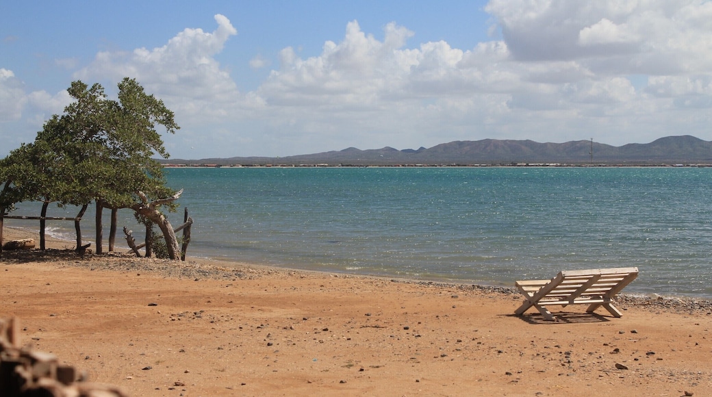 Calm beach in the desert of La Guajira. Great place to relax #AquaTrove #BeachTips #nature