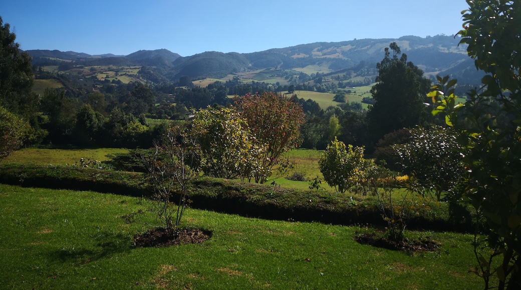 Amazing sunny day in the mountains near Bogota