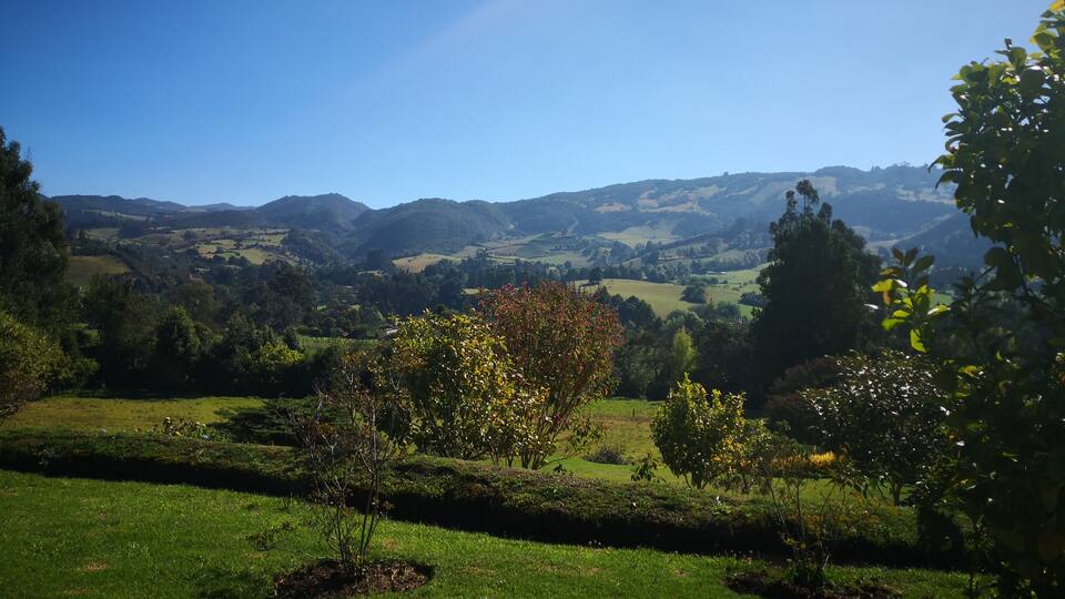 A lush green valley with rolling hills and a clear blue sky.