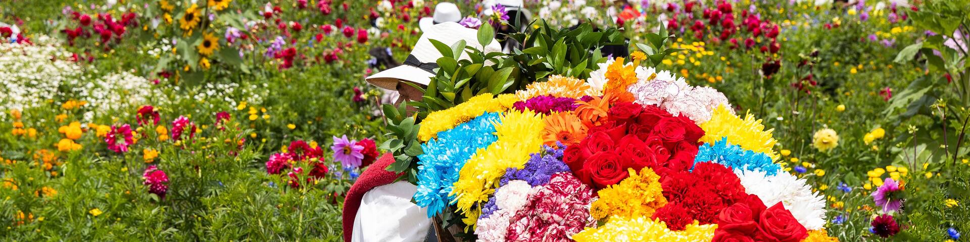 A person arranging a large, colorful floral arrangement in a field of various flowers.