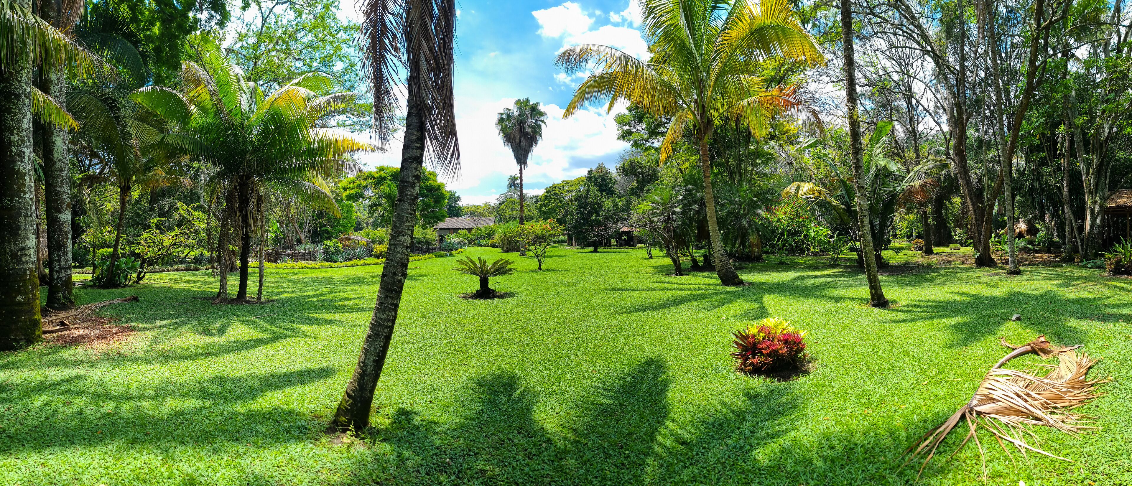 Colombia, Santa Elena, tropical garden near Cali