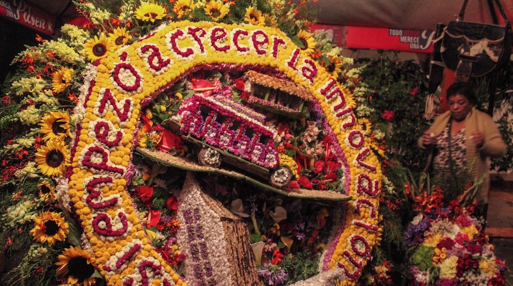 ⊠(2) For the farmers in Santa Elena their main product were flowers, beautiful of countless colors and shapes. To get the attention of potential customers these creative farmers would arrange their flower into huge masterpieces which just kept getting better with time. Sadly, but understandably, eventually this form of selling their flowers went into disuse. But their creativity and innovation seems to be ever growing! (Keep reading in the other #Festival posts)