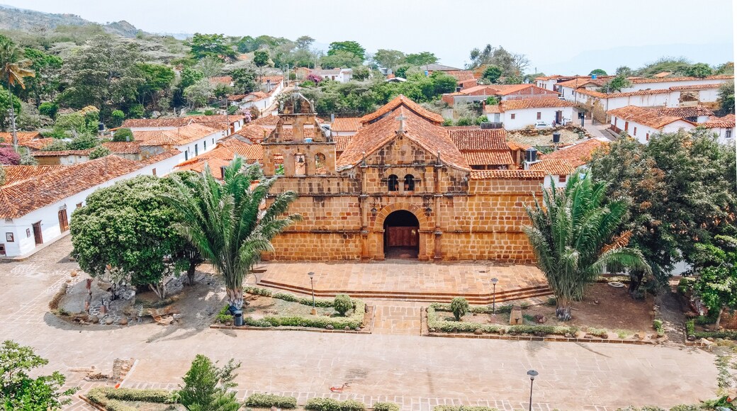 جاتشانتيفا