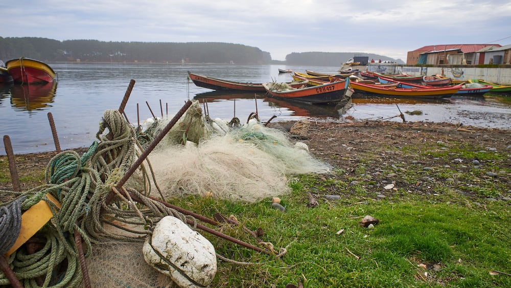 artisanal fishing boats, in the bay of Puerto Saavedra, Chile