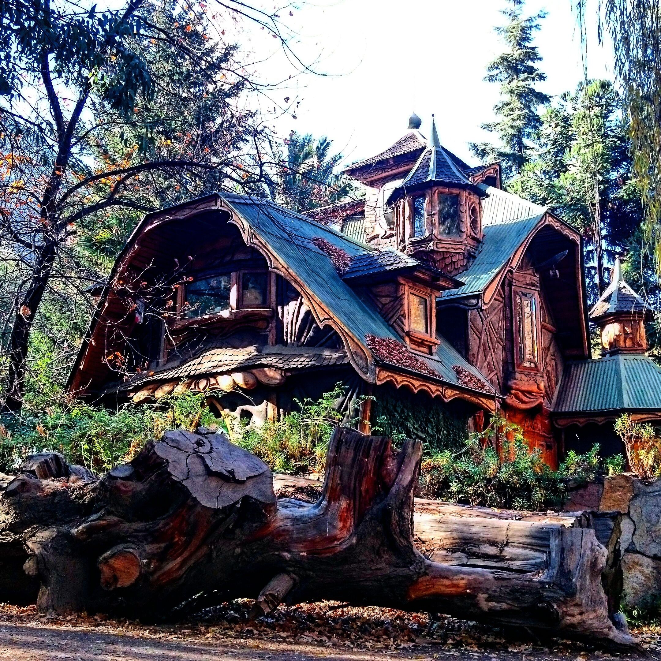 A wooden house built on a tree stump with a steep roof and a tower.