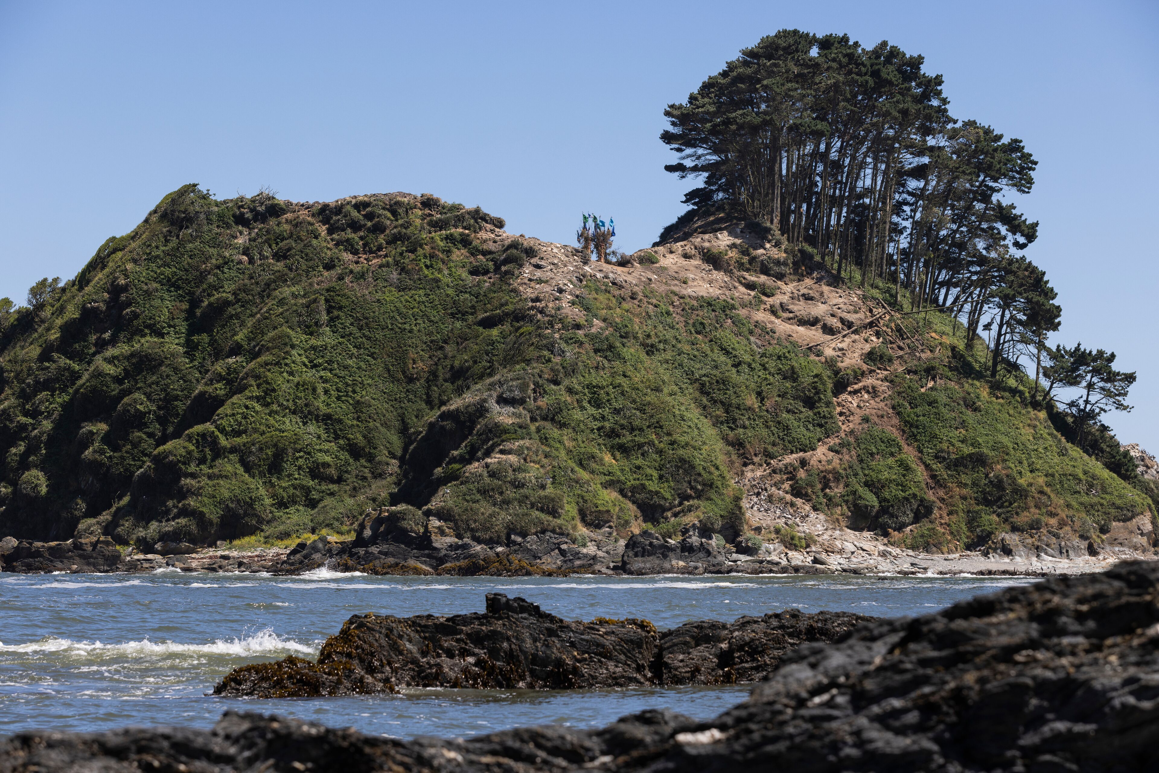 A rocky coastline with a forested hill and a clear blue sky.