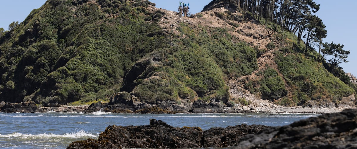 A rocky coastline with a forested hill and a clear blue sky.