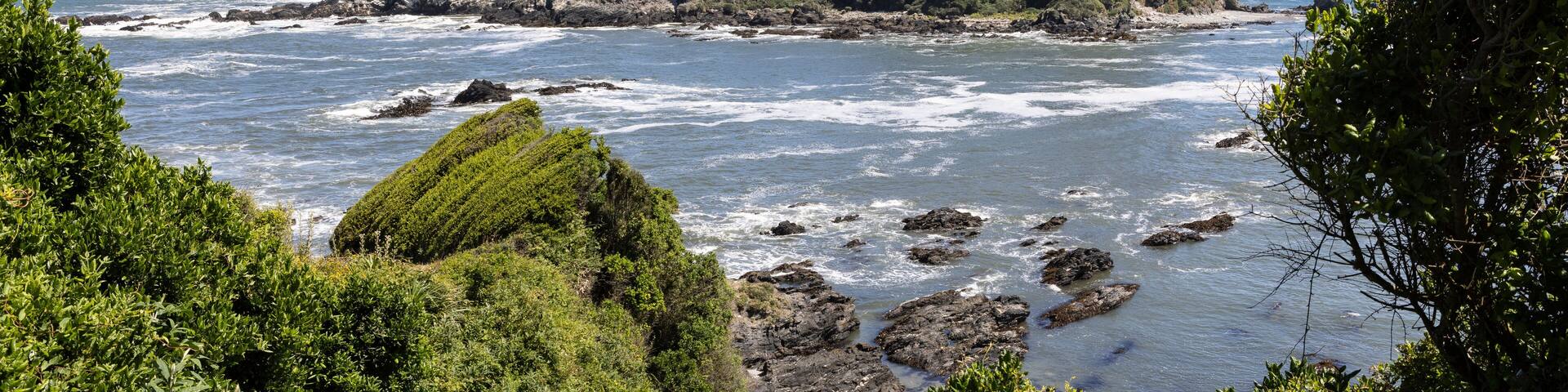 Isla Maiquillahue near Valdivia, Chile