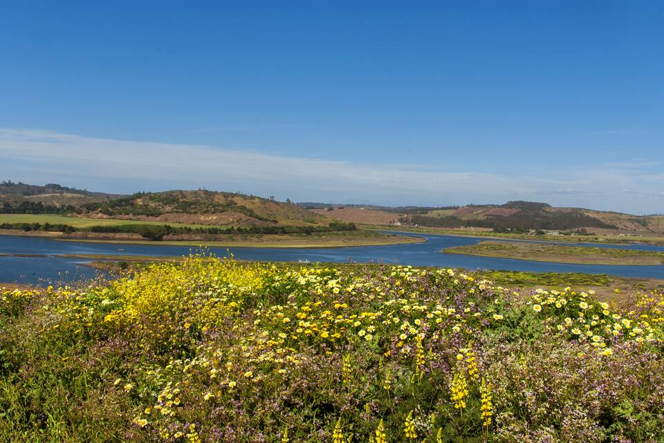 A lake surrounded by hills and wildflowers.