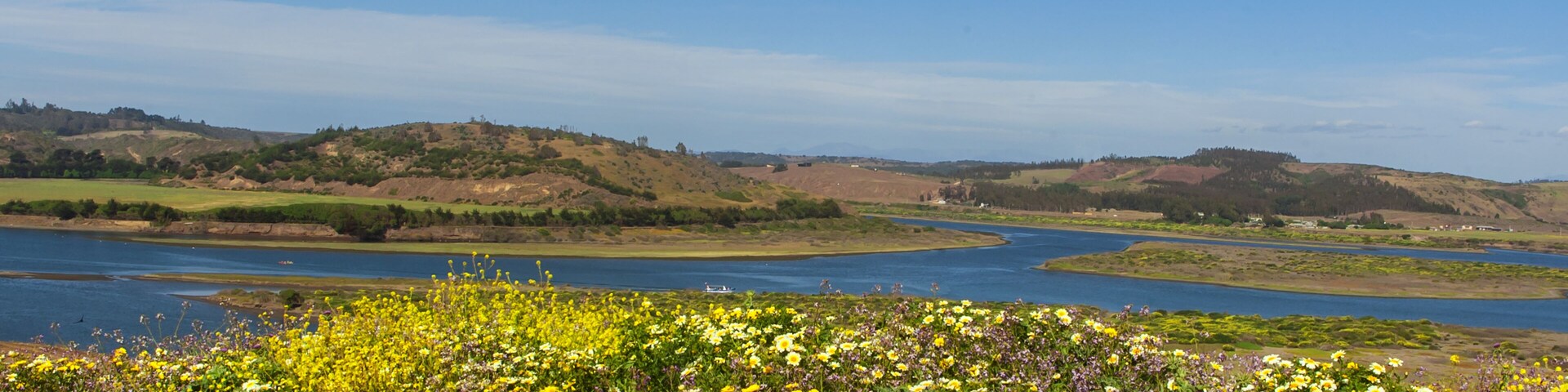 Desenbocadura Rio Rapel Navidad la boca sexta region Chile rio Flors naturaleza paisaje