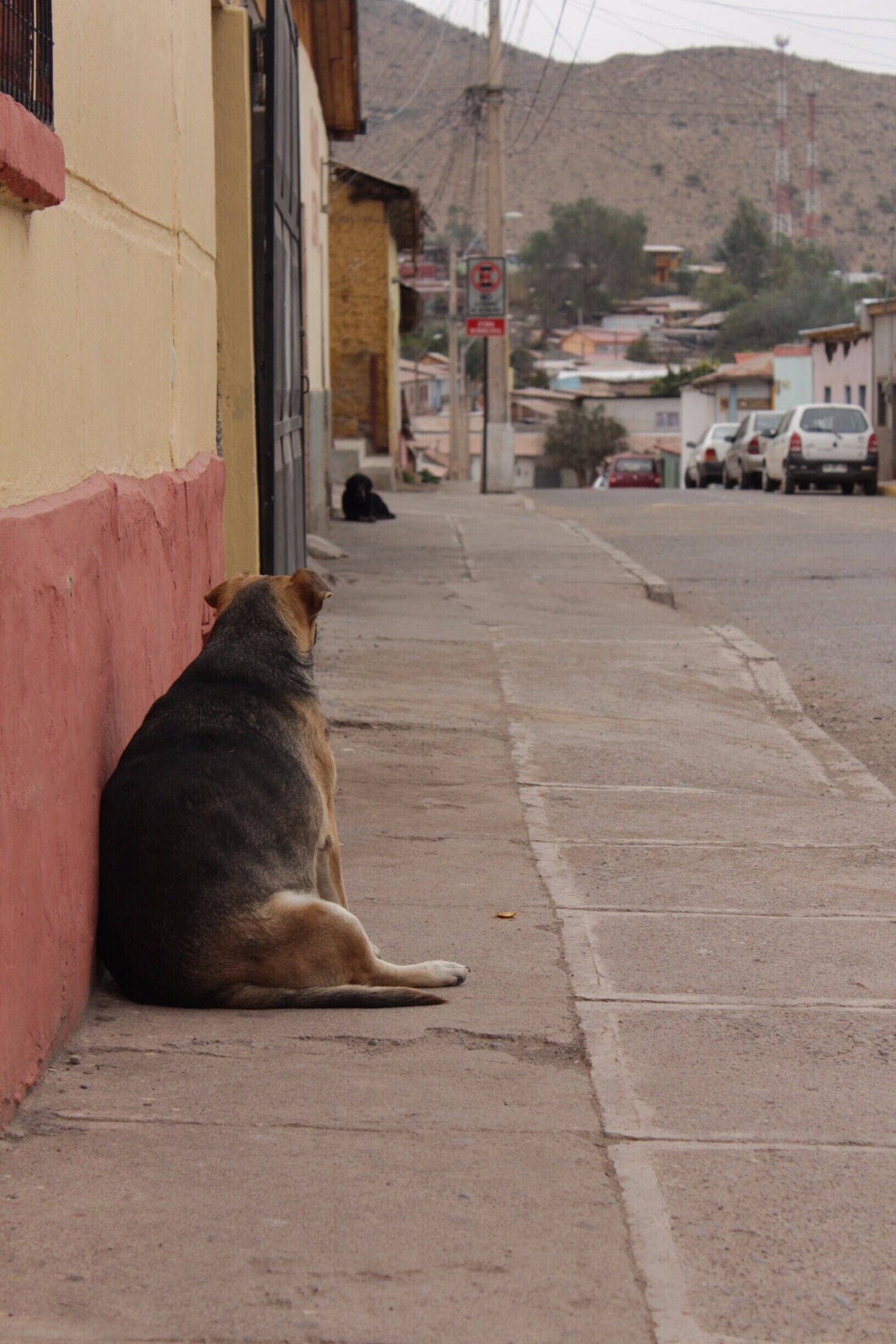 My friend with a little overweight.