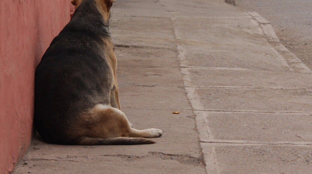 My friend with a little overweight.