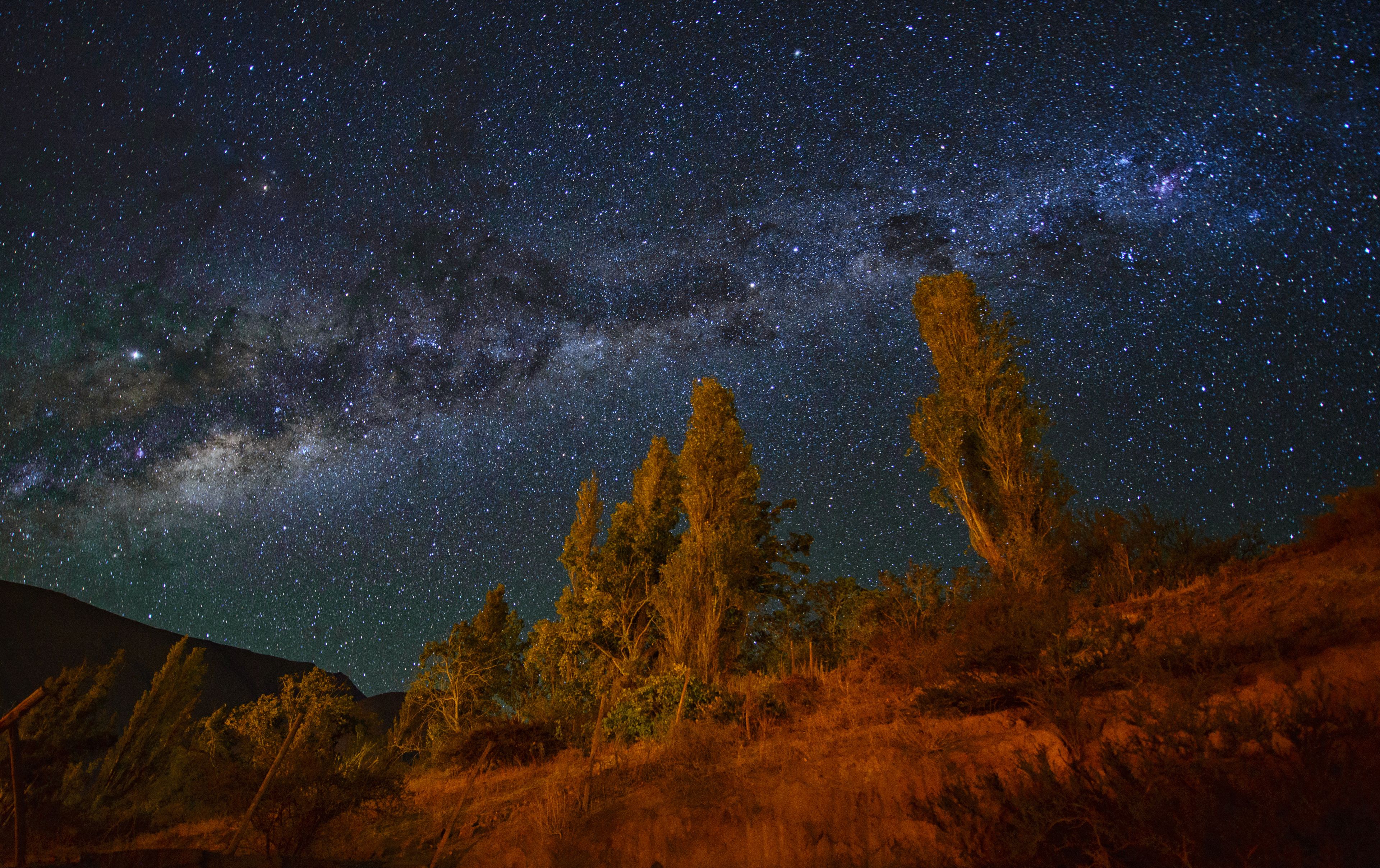 Cielo nocturno estrellado con la Vía Láctea visible, una ladera boscosa y una montaña al fondo.
