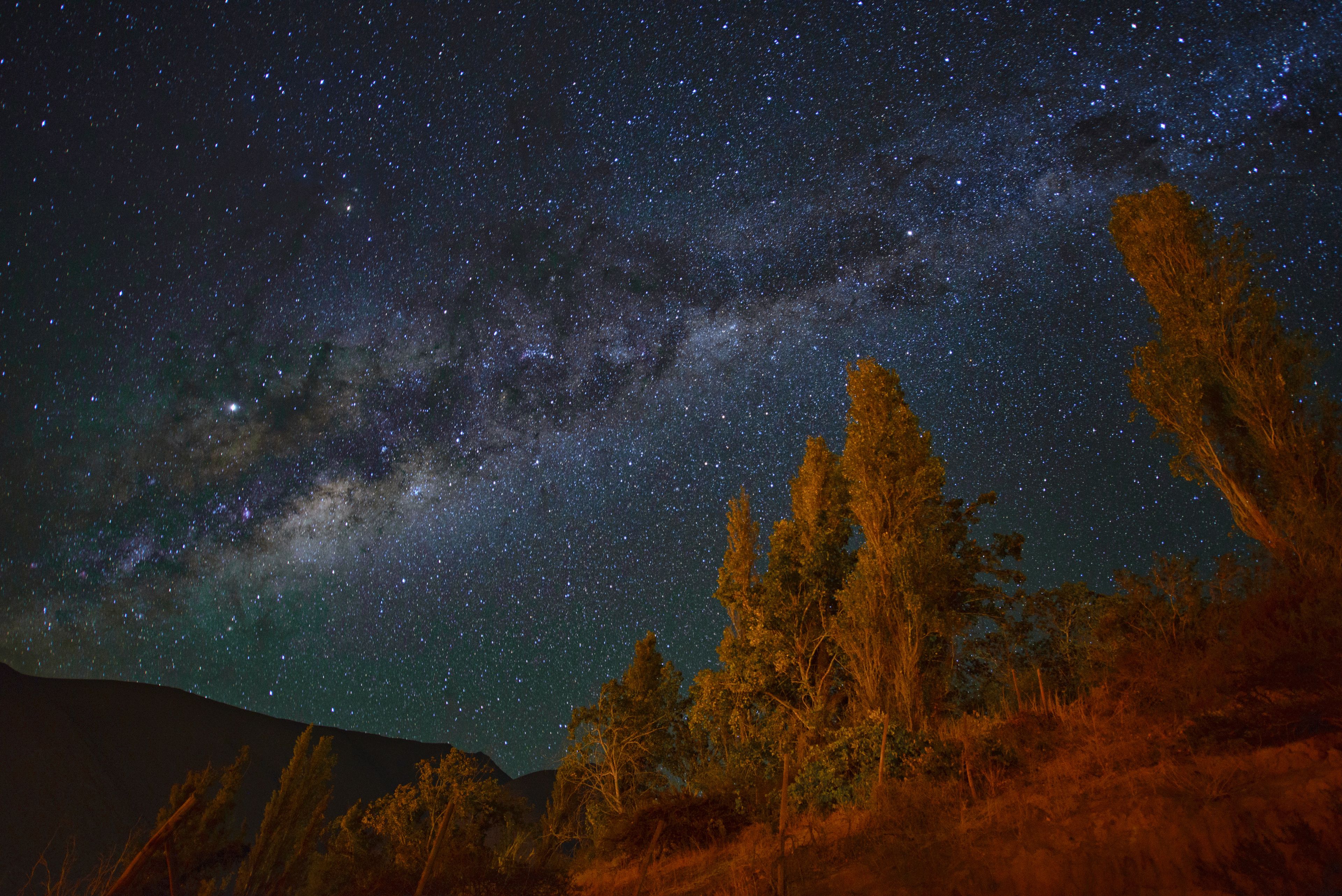 A starry night sky over a forested landscape.