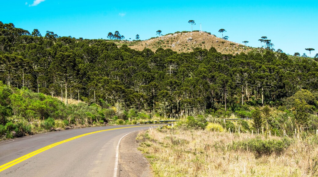 ์์กฐ์ํน