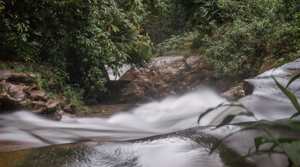Cachoeira mãe no sana
