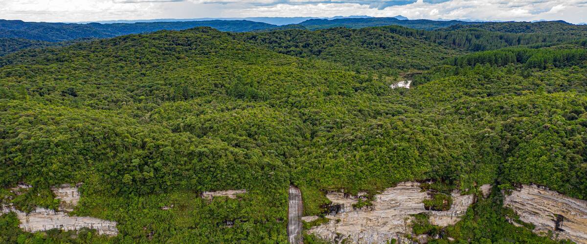 A dense forest with a waterfall and rocky outcrops.