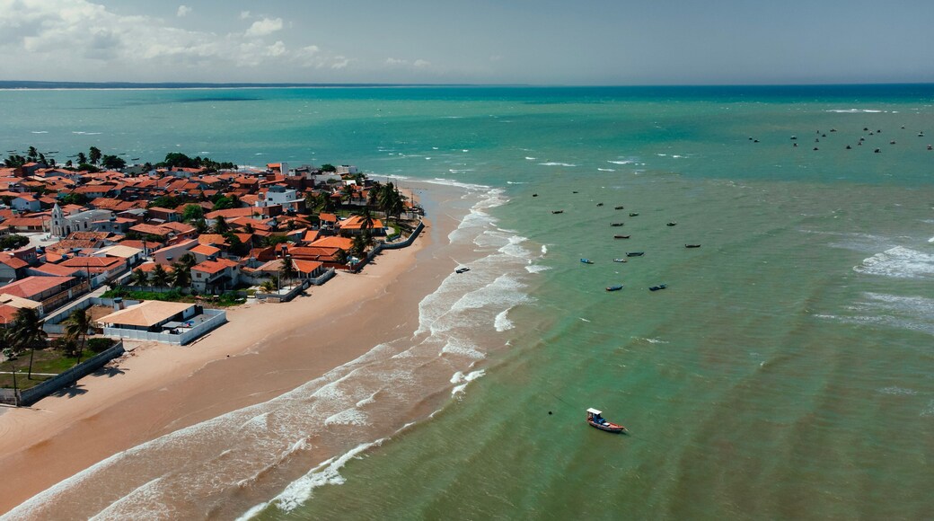 Praia Litoral Cidade Drone Alagoas Pontal do Peba Nordeste Brasil Aérea Paisagem Oceano Atlântico Dunas