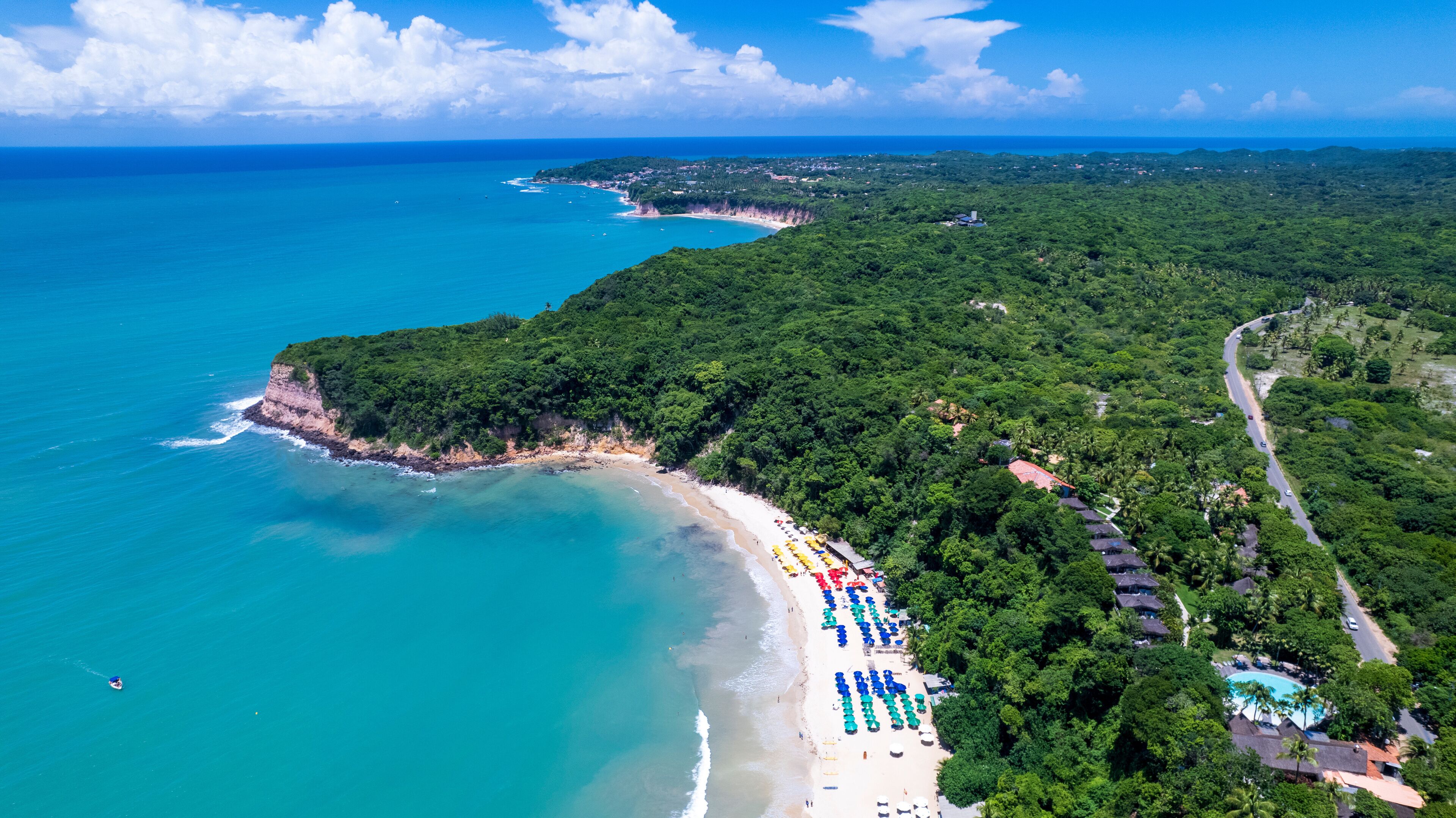 A coastal landscape with a beach, a road, and dense forest.