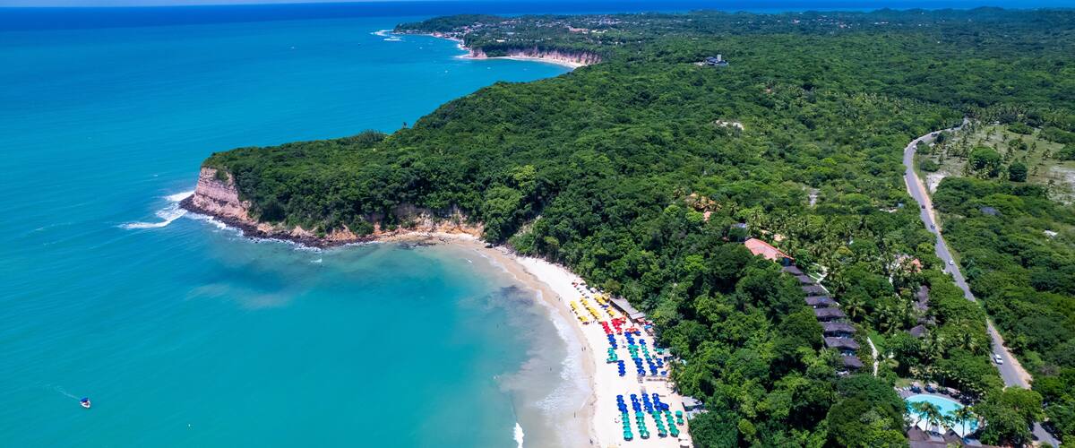 A coastal landscape with a beach, a road, and dense forest.