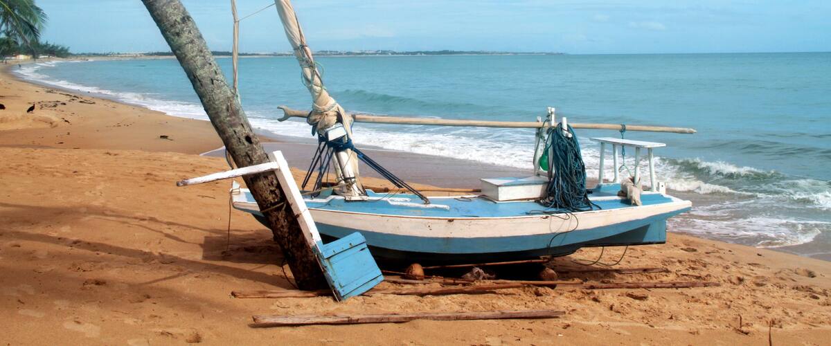 A small boat tied to a palm tree on a sandy beach with the ocean in the background.