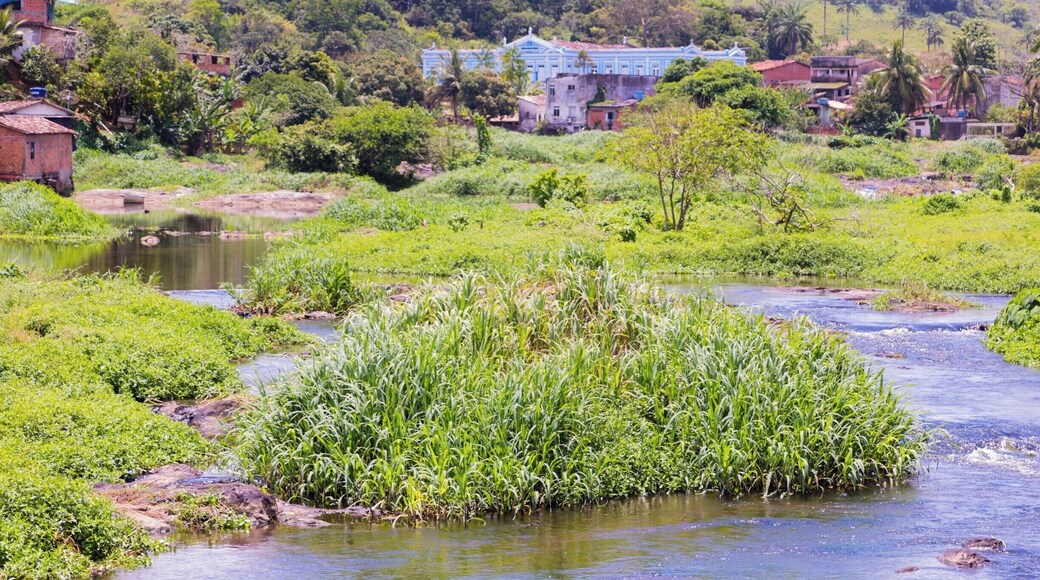 View of shallows of Rio Jaguaripe in Nazaré, Bahia, Brazil.