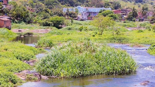 View of shallows of Rio Jaguaripe in Nazaré, Bahia, Brazil.